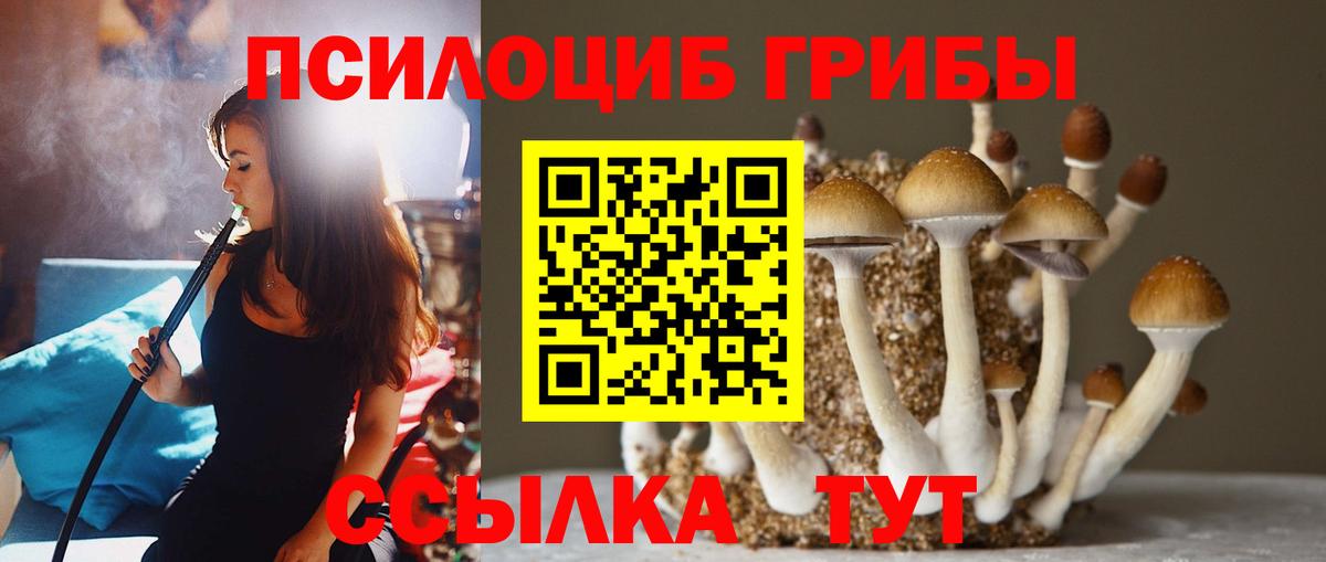 Галлюциногенные грибы Cubensis  даркнет сайт  Волоколамск  Галлюциногенные грибы GOLDEN TEACHER  Вход с VPN 